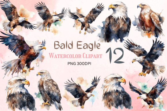 Watercolor Bald Eagle Clipart for Crafts and Branding
