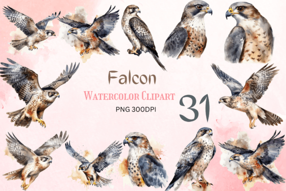 Watercolor Falcon Clipart Bundle for Crafts & Digital Sales