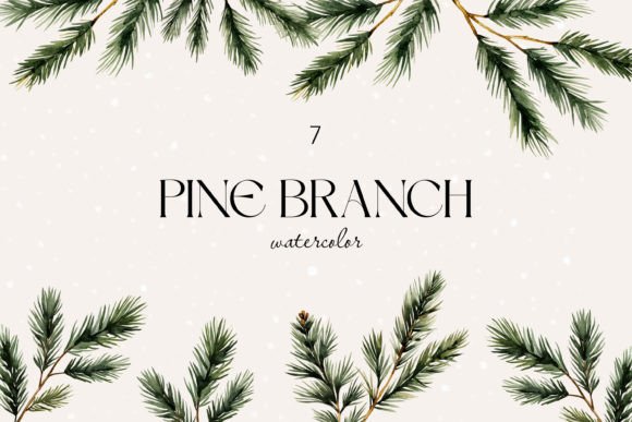Watercolor Pine Branch Clipart for Decorative Elements